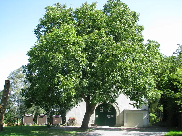 Altes Pfarrhaus